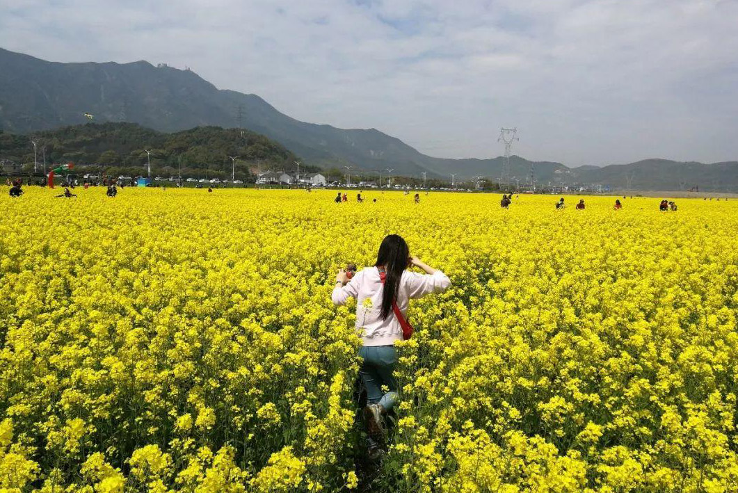 田園綜合體